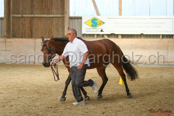 24-ApHC HIH_028.jpg